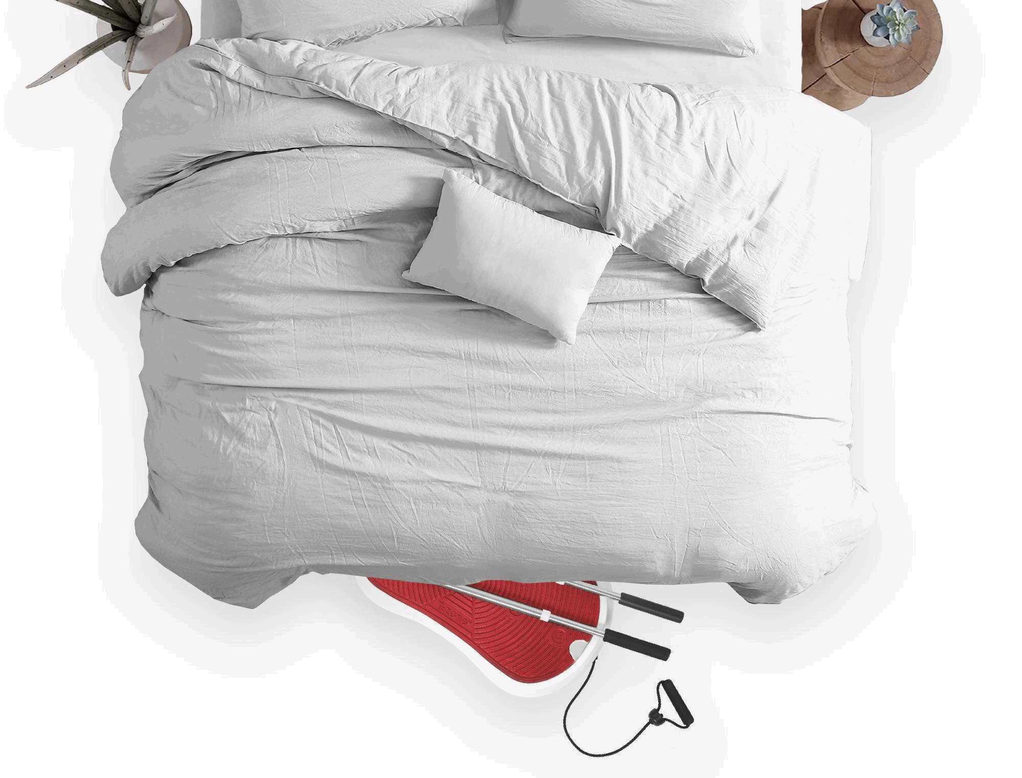 T-Zone HE-90 Vibration Plate Exercise Machine with accessories including balance poles and mats, showcasing its compact design and user-friendly interface.